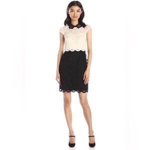 Nwot Betsy Johnson feminine dress